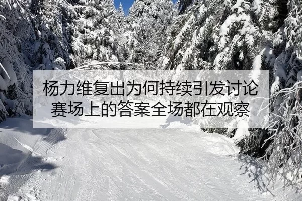 杨力维复出为何持续引发讨论 赛场上的答案全场都在观察